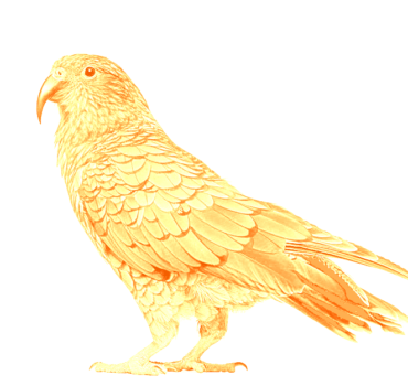 sitting-kea-wl Auckland Business Broker