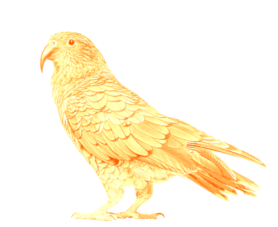sitting-kea-wl Auckland Business Broker